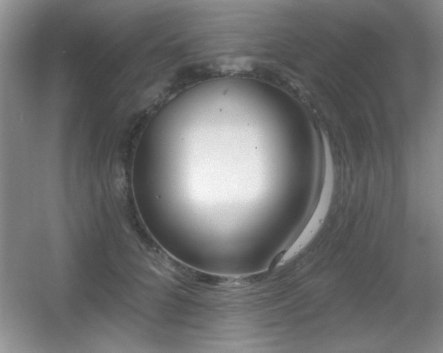 X0000056010704200508221455