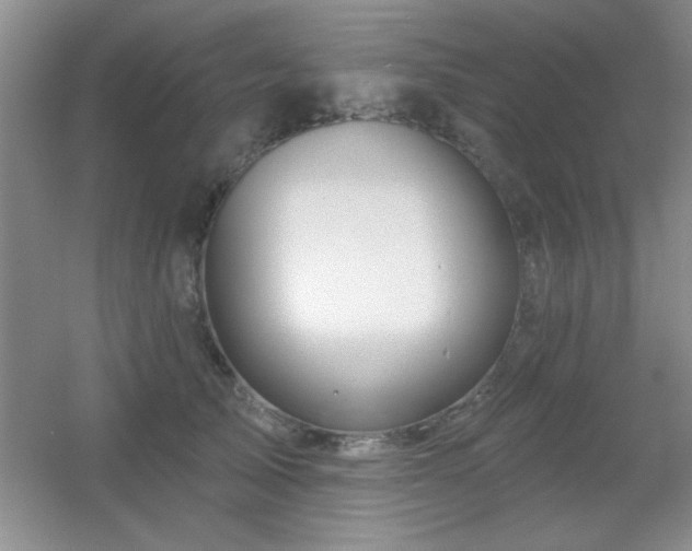 X0000056010705200508221455