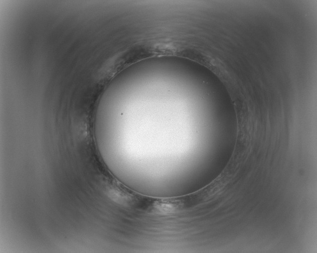 X0000056010706200508221454