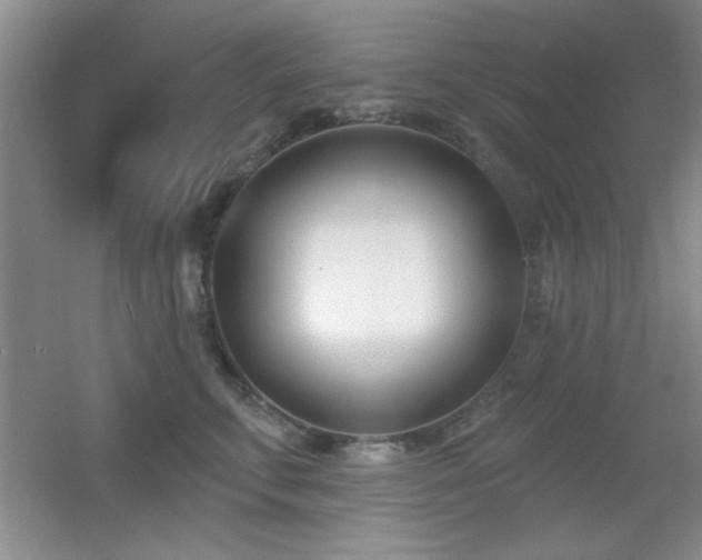 X0000056010711200508221454