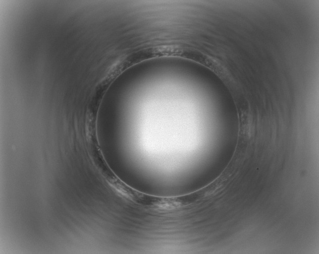 X0000056010712200508221454