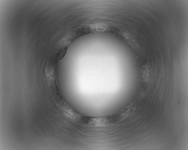 X0000056010713200508221454