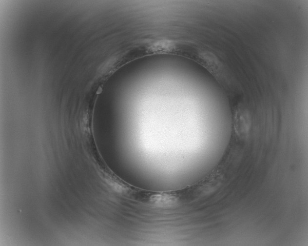 X0000056010714200508221454