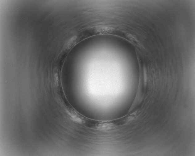 X0000056010716200508221454