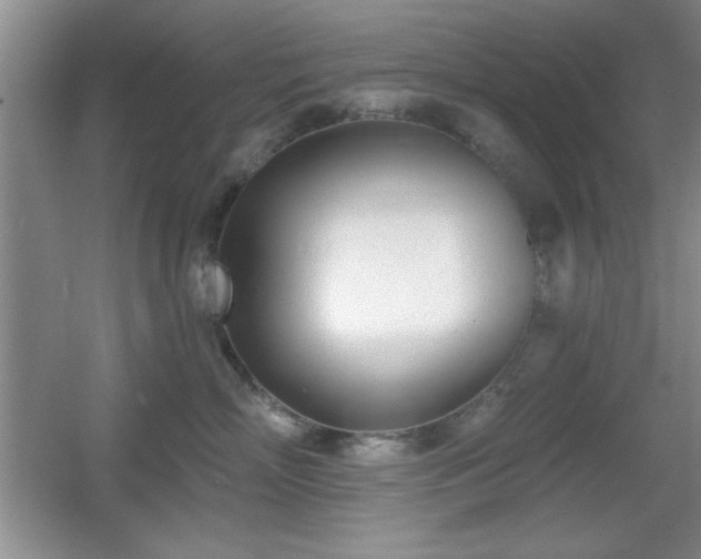X0000056010718200508221454