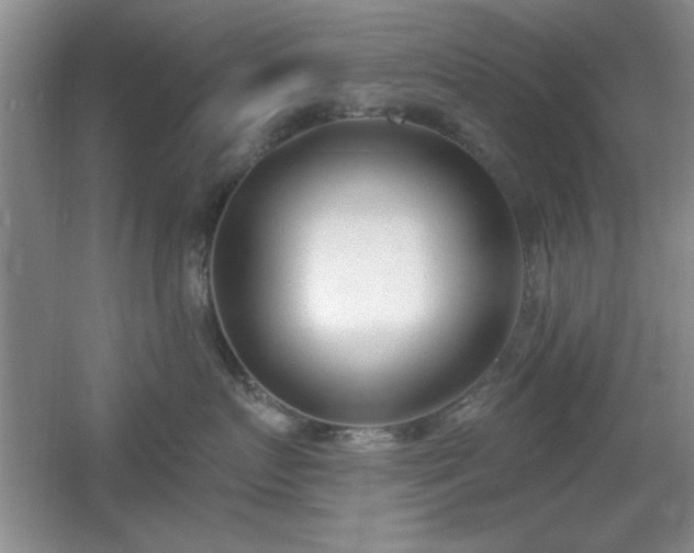 X0000056010719200508221454