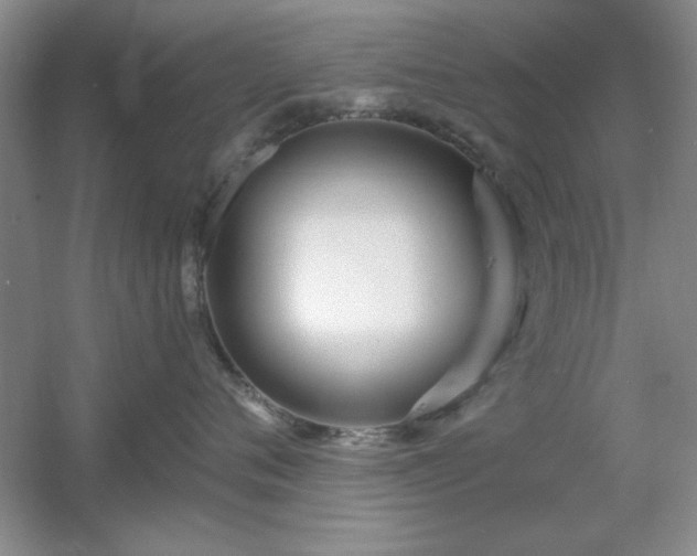 X0000056010720200508221454