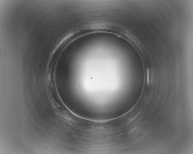 X0000056010723200508221453