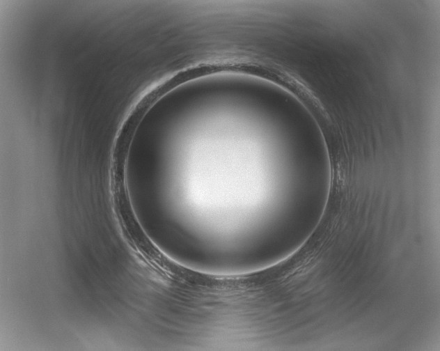 X0000056010724200508221453