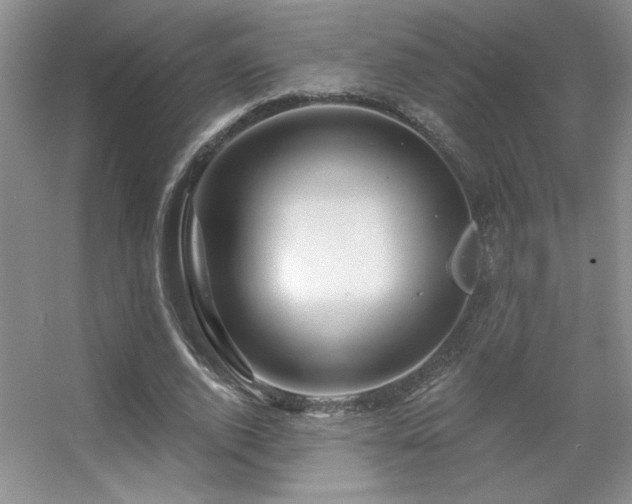 X0000056010728200508221454