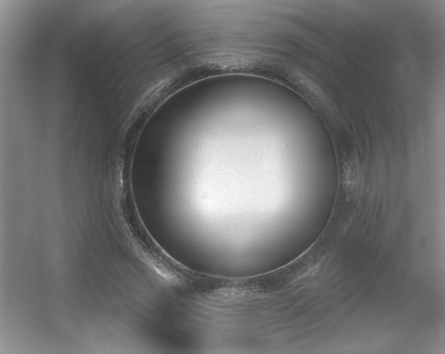 X0000056010733200508221454