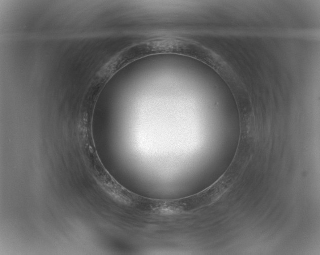 X0000056010737200508221454