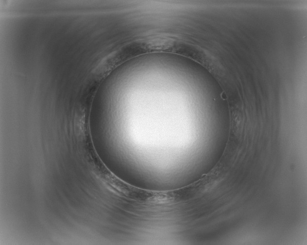X0000056010745200508221454