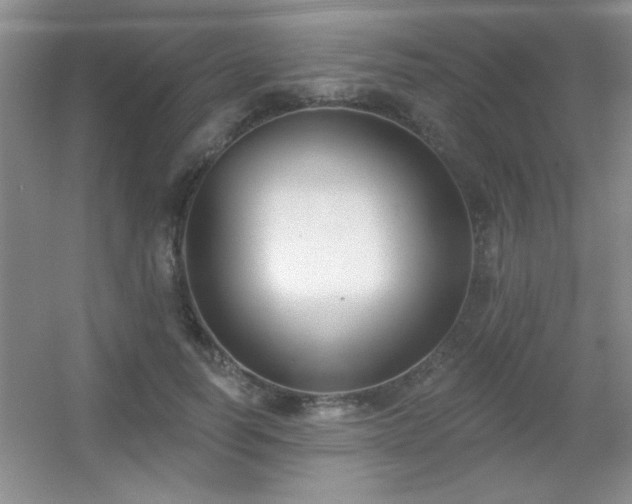X0000056010746200508221454