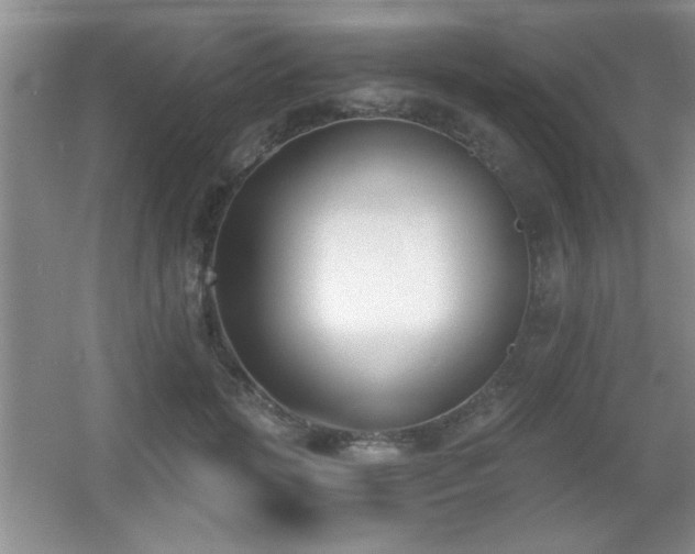 X0000056010749200508221454
