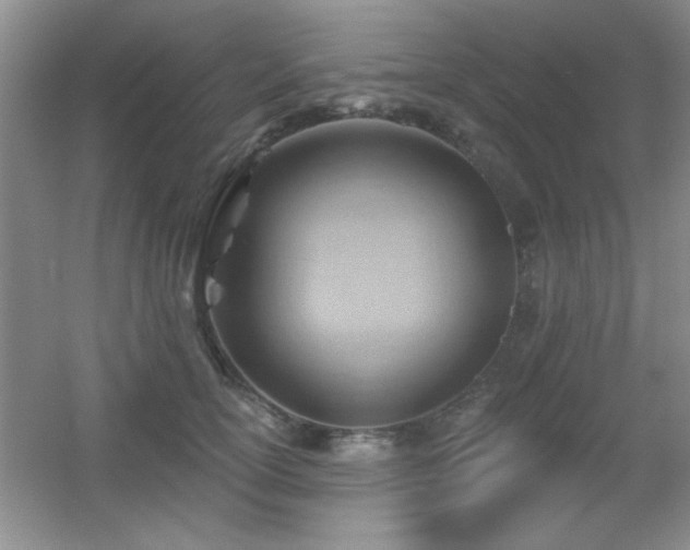 X0000056010754200508221454