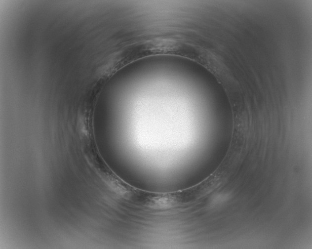 X0000056010755200508221454
