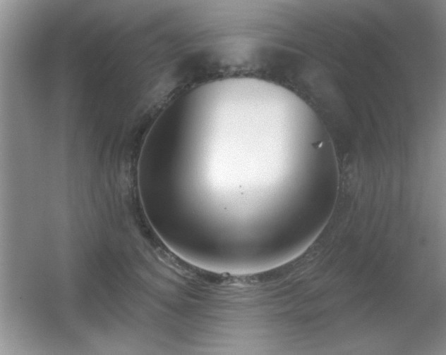 X0000056010756200508221454