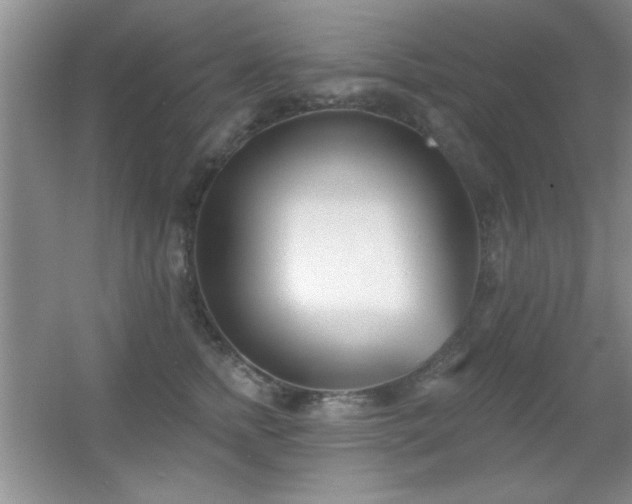 X0000056010758200508221454