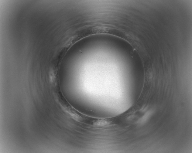 X0000056010759200508221454