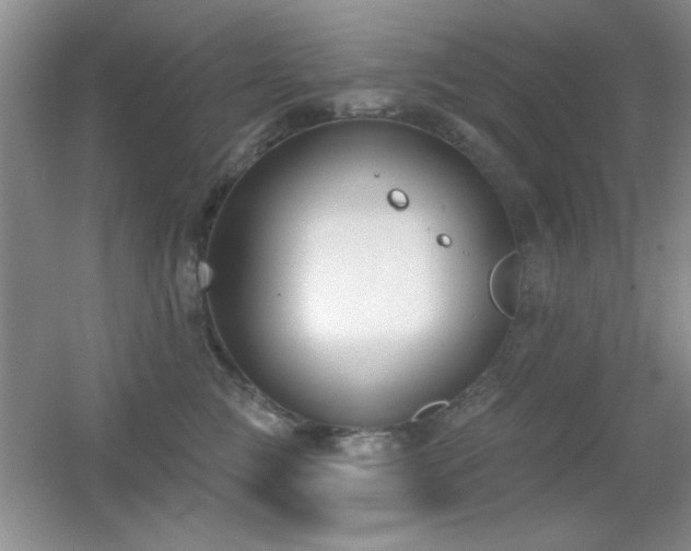 X0000056010761200508221454