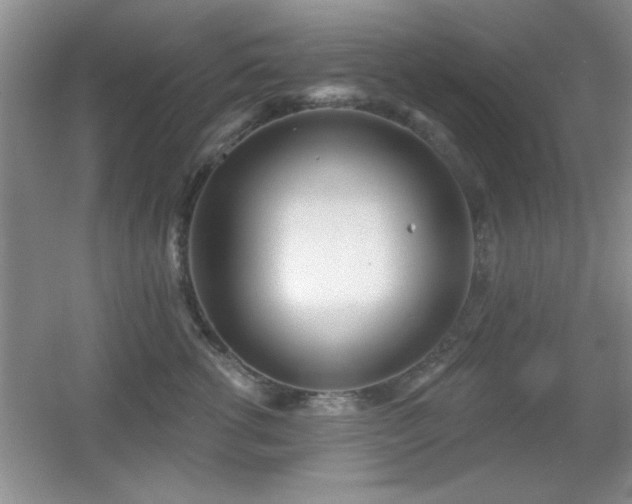 X0000056010762200508221454