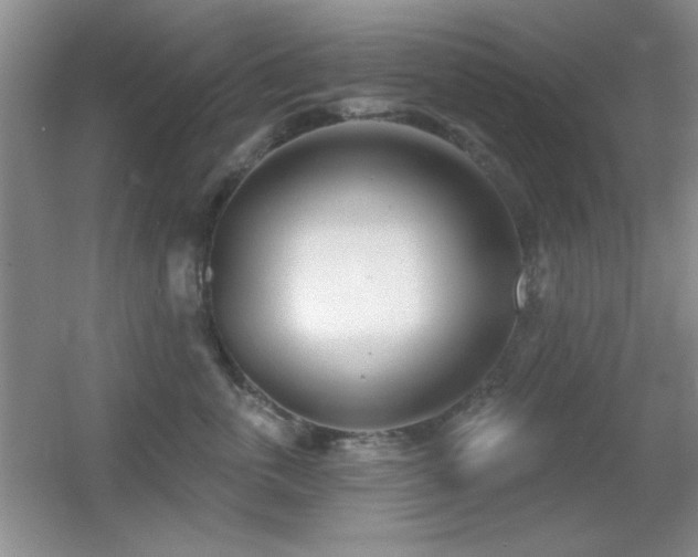 X0000056010763200508221454