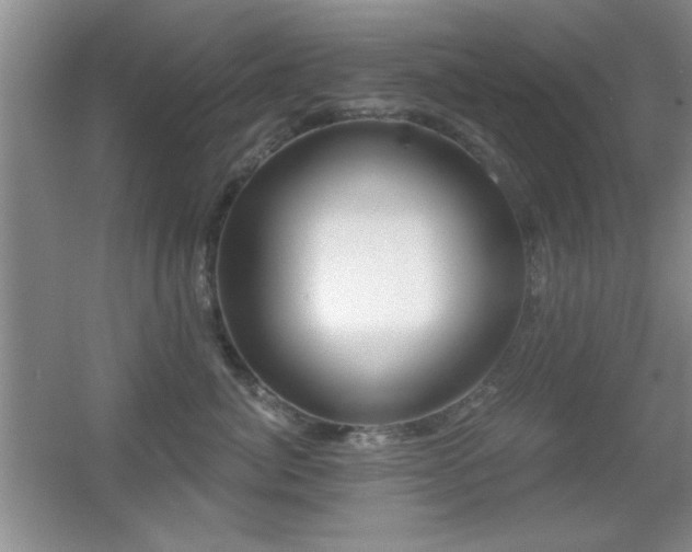 X0000056010764200508221454