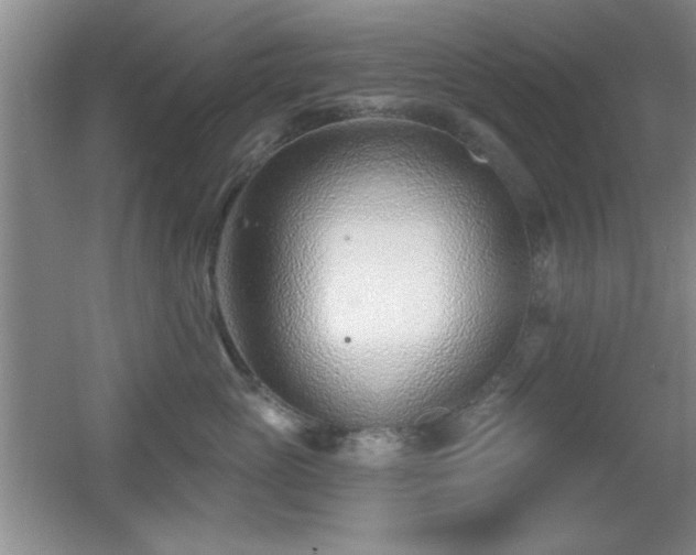 X0000056010765200508221454