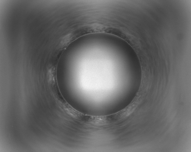 X0000056010768200508221454