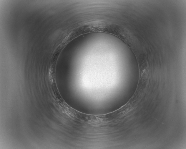 X0000056010772200508221453