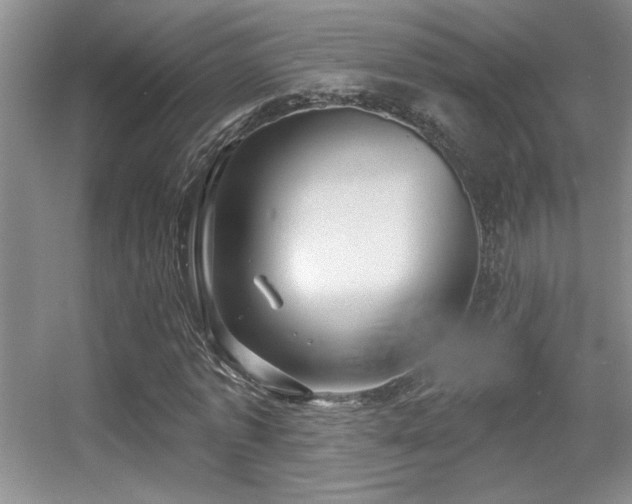 X0000056010773200508221453