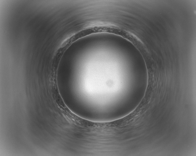 X0000056010775200508221453