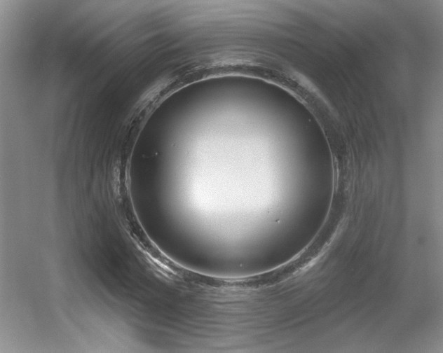 X0000056010777200508221453