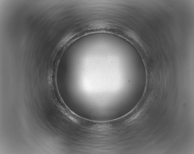 X0000056010778200508221453