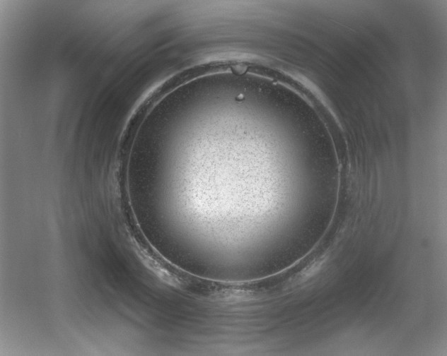 X0000056010783200508221453