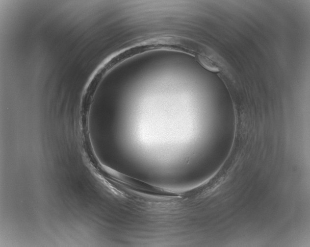 X0000056010784200508221453
