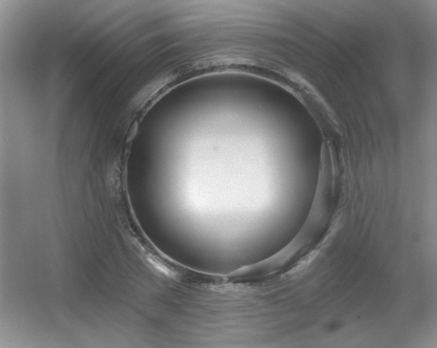 X0000056010785200508221453