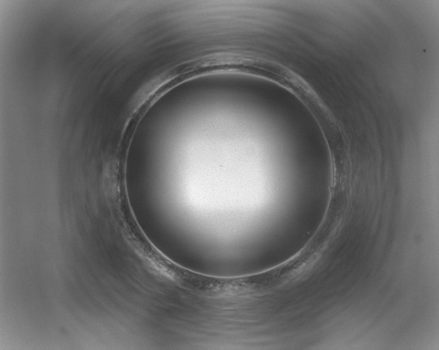 X0000056010786200508221453