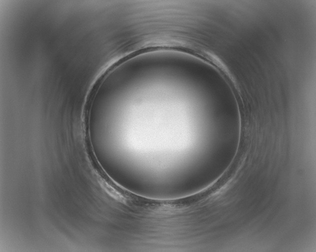 X0000056010787200508221453