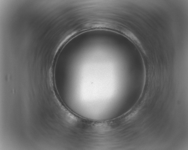 X0000056010798200508221453