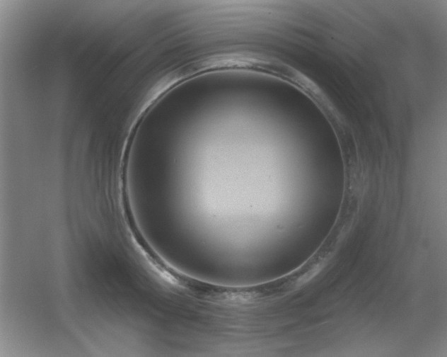 X0000056010802200508221453