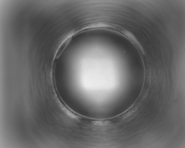 X0000056010805200508221453