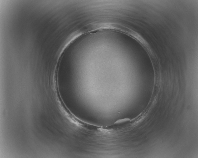 X0000056010806200508221453