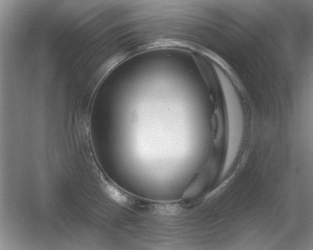 X0000056010809200508221453