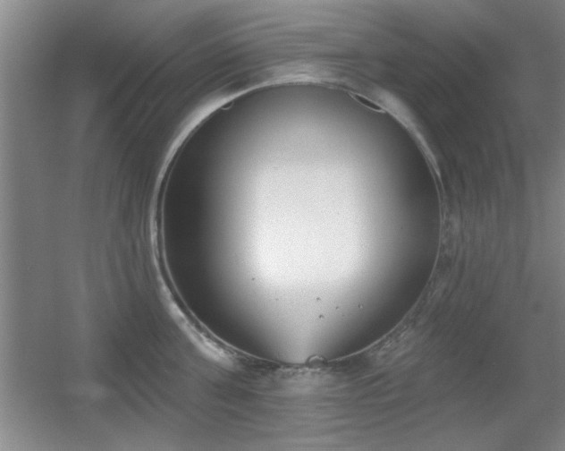 X0000056010811200508221453
