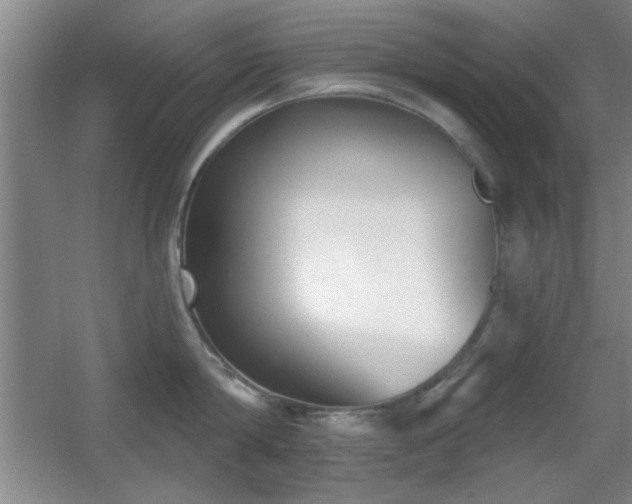 X0000056010814200508221453