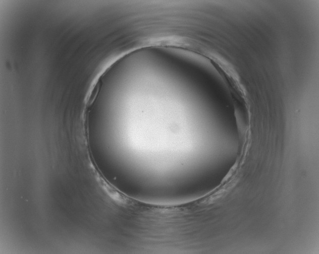 X0000056010816200508221453