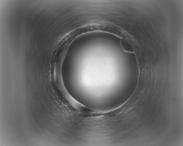 X0000056010822200508221452