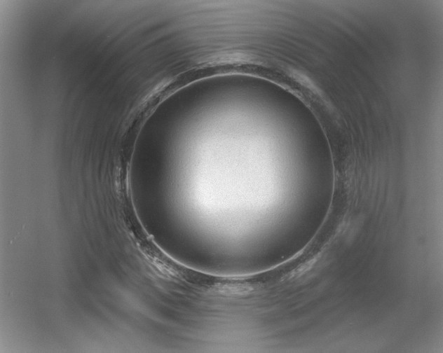 X0000056010825200508221452